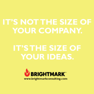 It's not the size of your company. It's the size of your ideas.