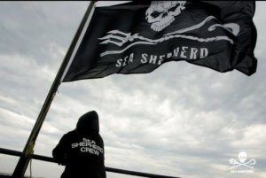 Sea Shepard Flag with Crew Member.